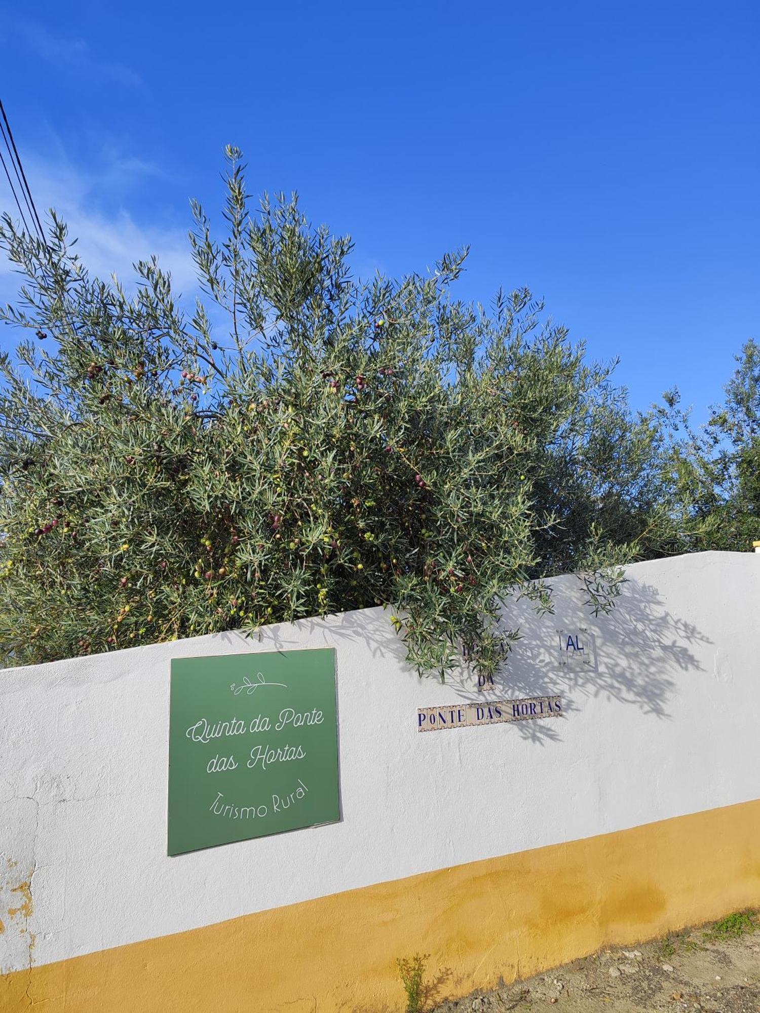 Quinta Da Ponte Das Hortas 2 เอลวัช ภายนอก รูปภาพ