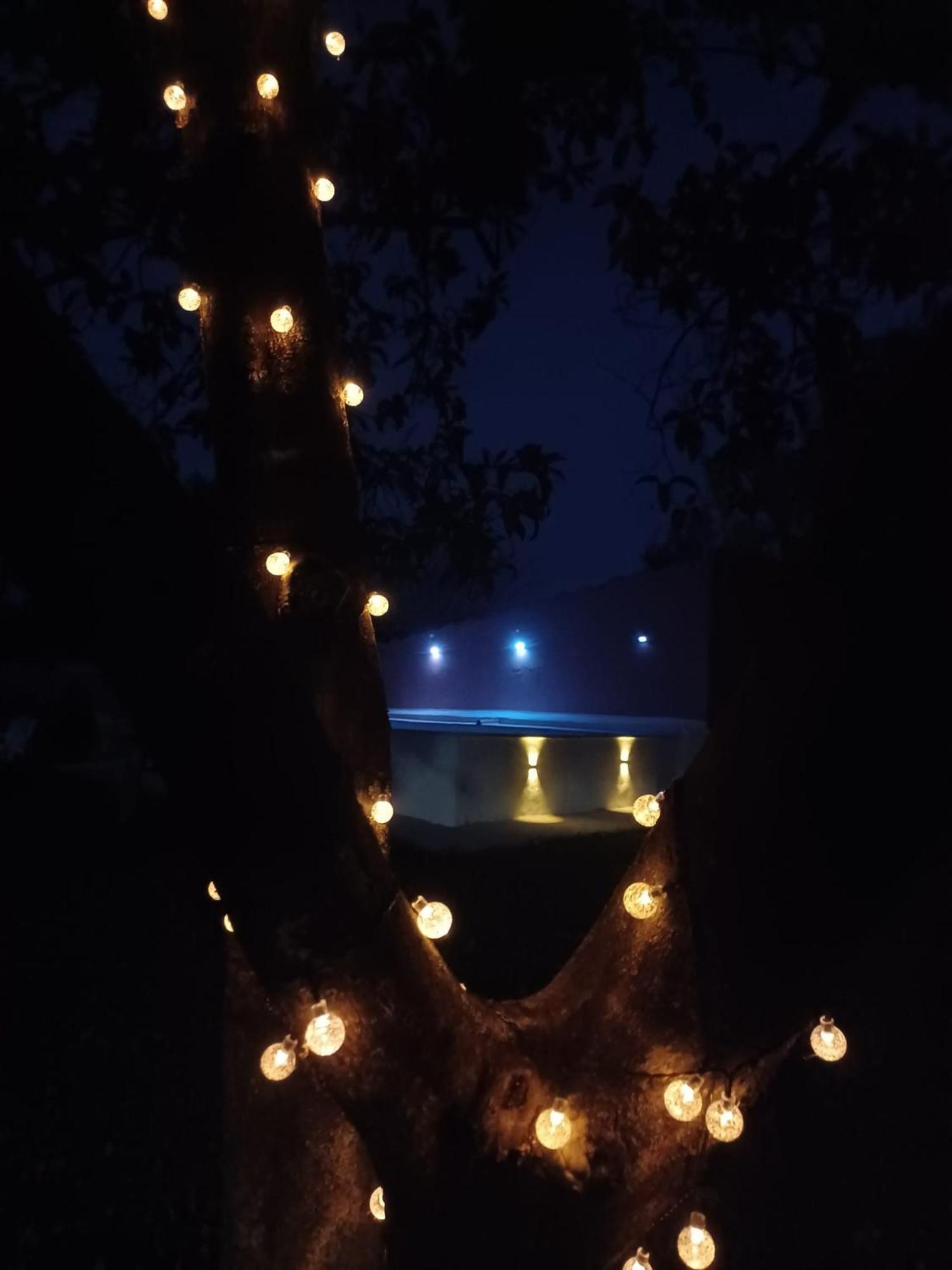 Quinta Da Ponte Das Hortas 2 เอลวัช ภายนอก รูปภาพ