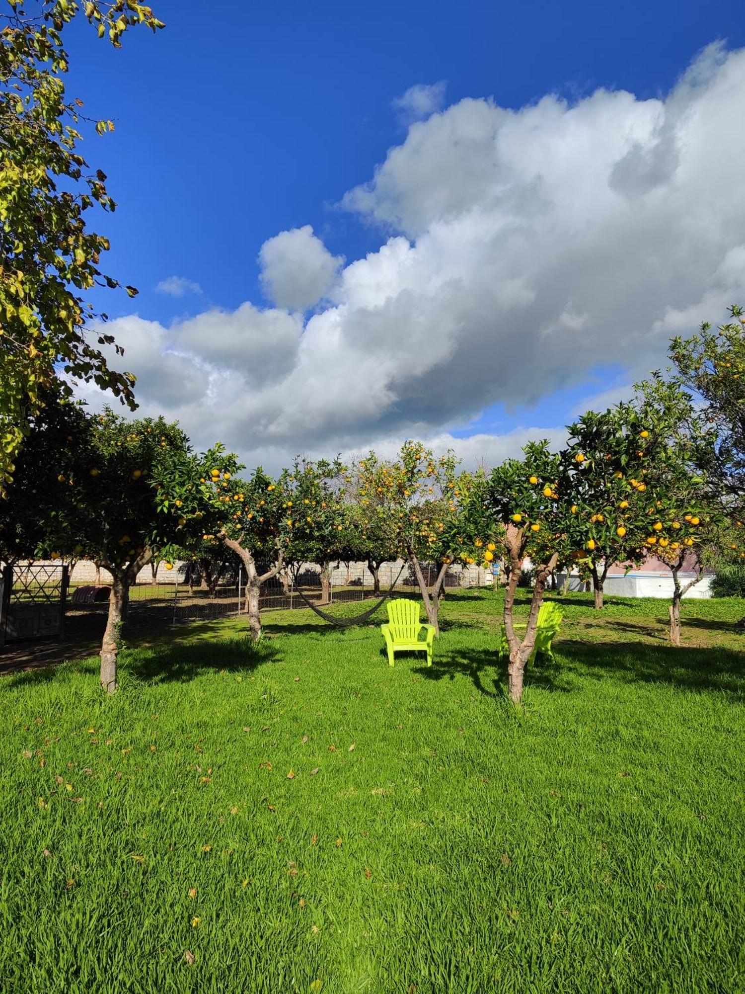 Quinta Da Ponte Das Hortas 2 เอลวัช ภายนอก รูปภาพ